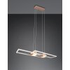 ALBANY Suspension Luminaires Trio LED Brun, 1 lumière, Télécommandes