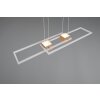 ALBANY Suspension Luminaires Trio LED Brun, 1 lumière, Télécommandes