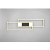 ALBANY Plafonnier Luminaires Trio LED Noir doré, 1 lumière, Télécommandes