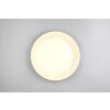 Aleta Plafonnier Luminaires Reality LED Blanc, 1 lumière, Télécommandes