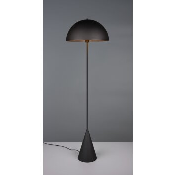 Alfie Lampadaire Luminaires Trio Noir, 1 lumière