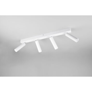 Ambala Spot de plafond Luminaires Trio LED Blanc, 4 lumières