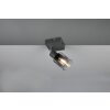 Cadiz Spot de plafond Luminaires Reality Anthracite, 1 lumière