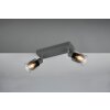 Cadiz Spot de plafond Luminaires Reality Anthracite, 2 lumières