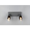 Cadiz Spot de plafond Luminaires Reality Anthracite, 2 lumières