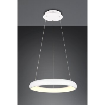 Cardona Suspension Luminaires Trio LED Blanc, 1 lumière