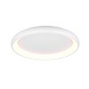 Cardona Plafonnier Luminaires Trio LED Blanc, 1 lumière