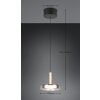 Celeste Suspension Luminaires Trio LED Noir, 1 lumière