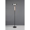 Celeste Lampadaire Luminaires Trio LED Noir, 1 lumière