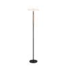 Celeste Lampadaire Luminaires Trio LED Noir, 1 lumière