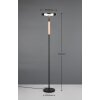 Celeste Lampadaire Luminaires Trio LED Noir, 1 lumière