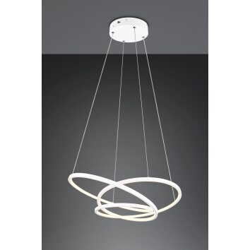 Darvin Suspension Luminaires Trio LED Blanc, 1 lumière