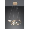 Darvin Suspension Luminaires Trio LED Or, 1 lumière