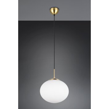 Fomento Suspension Luminaires Trio Laiton, 1 lumière