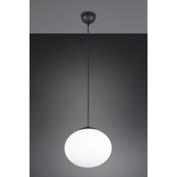 Fomento Suspension Luminaires Trio Noir, 1 lumière