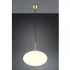 Fomento Suspension Luminaires Trio Laiton, 1 lumière