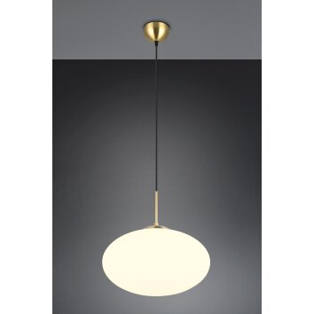 Fomento Suspension Luminaires Trio Laiton, 1 lumière