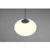 Fomento Suspension Luminaires Trio Noir, 1 lumière