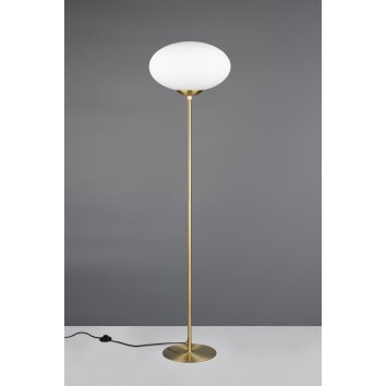 Fomento Lampadaire Luminaires Trio Laiton, 1 lumière