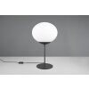 Fomento Lampe à poser Luminaires Trio Noir, 1 lumière