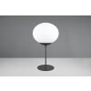 Fomento Lampe à poser Luminaires Trio Noir, 1 lumière