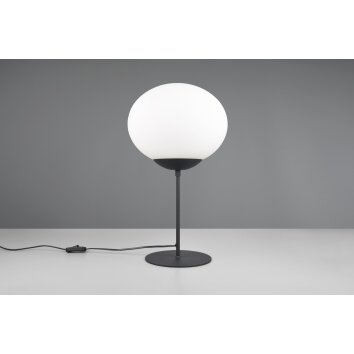 Fomento Lampe à poser Luminaires Trio Noir, 1 lumière