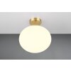 Fomento Plafonnier Luminaires Trio Laiton, 1 lumière