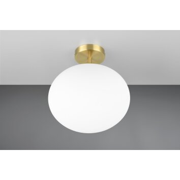 Fomento Plafonnier Luminaires Trio Laiton, 1 lumière