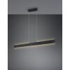 Galway Suspension Luminaires Trio LED Noir, 1 lumière