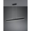 Galway Suspension Luminaires Trio LED Noir, 1 lumière