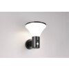 Gorda Applique murale Luminaires Reality LED Noir, 1 lumière, Détecteur de mouvement