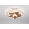 Mandala Plafonnier Luminaires Trio LED Gris, 1 lumière, Télécommandes