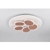 Mandala Plafonnier Luminaires Trio LED Gris, 1 lumière, Télécommandes