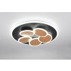 Mandala Plafonnier Luminaires Trio LED Noir doré, 1 lumière, Télécommandes