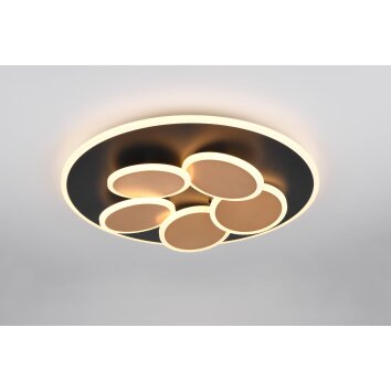 Mandala Plafonnier Luminaires Trio LED Noir doré, 1 lumière, Télécommandes