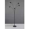 Marley Lampadaire, Lampadaires arc Luminaires Trio Noir, 5 lumières
