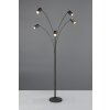 Marley Lampadaire Luminaires Trio Noir, 5 lumières