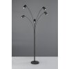 Marley Lampadaire Luminaires Trio Noir, 5 lumières