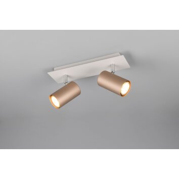 Marley Spot de plafond Luminaires Trio Brun, 2 lumières