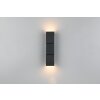 Raglan Applique murale Luminaires Trio LED Noir, 2 lumières