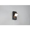 Raglan Applique murale Luminaires Trio LED Noir, 1 lumière