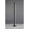 Seeker Lampadaire Luminaires Trio LED Noir, 1 lumière