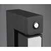 Seeker Lampadaire Luminaires Trio LED Noir, 1 lumière