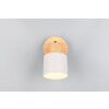 Shanti Spot de plafond Luminaires Trio Gris, 1 lumière