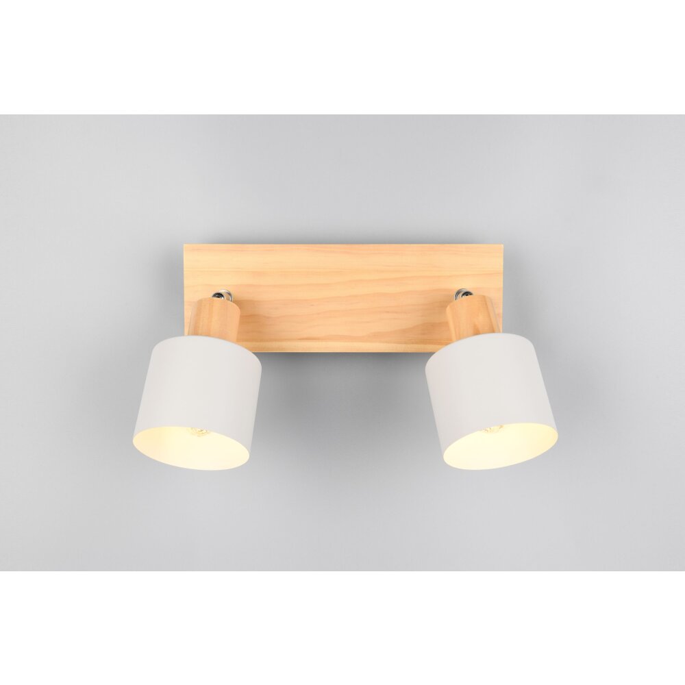 Shanti Spot de plafond Luminaires Trio Gris, 2 lumières