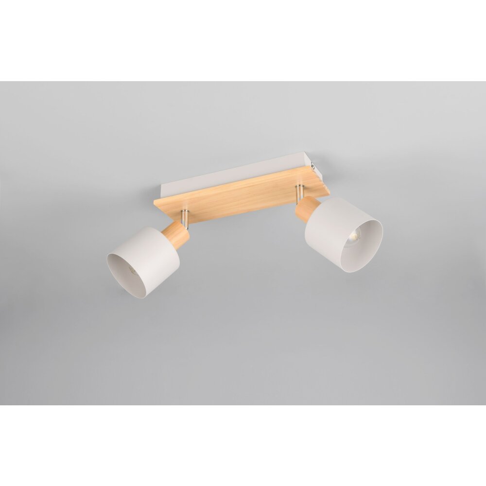 Shanti Spot de plafond Luminaires Trio Gris, 2 lumières