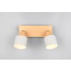 Shanti Spot de plafond Luminaires Trio Gris, 2 lumières