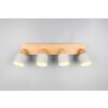Shanti Spot de plafond Luminaires Trio Gris, 4 lumières