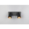 Sharp Spot de plafond Luminaires Trio Noir, 2 lumières