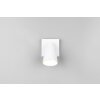 Sharp Spot de plafond Luminaires Trio Blanc, 1 lumière